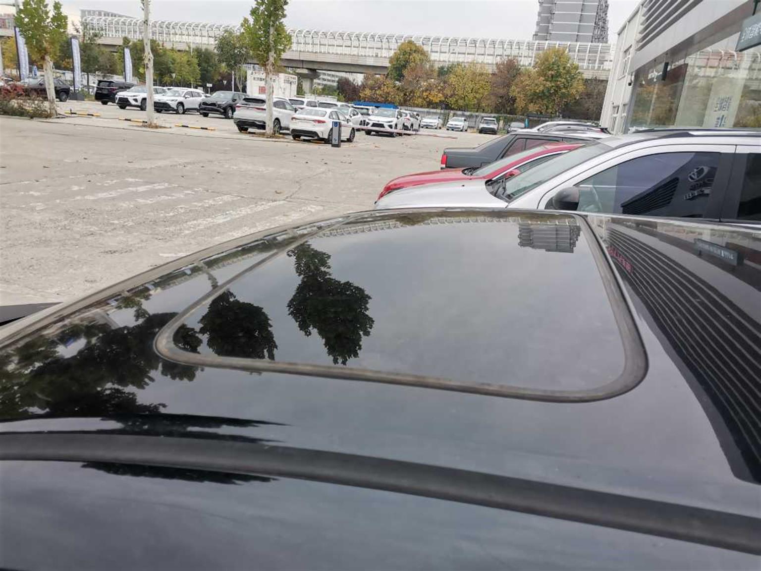 本田