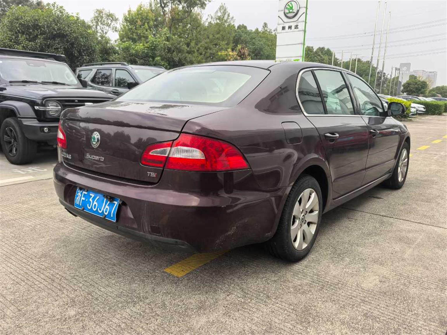 斯柯达