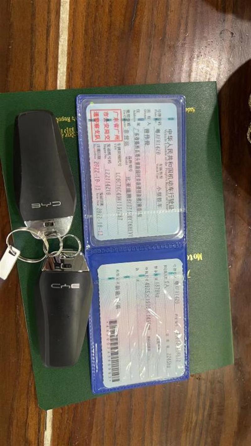 比亚迪